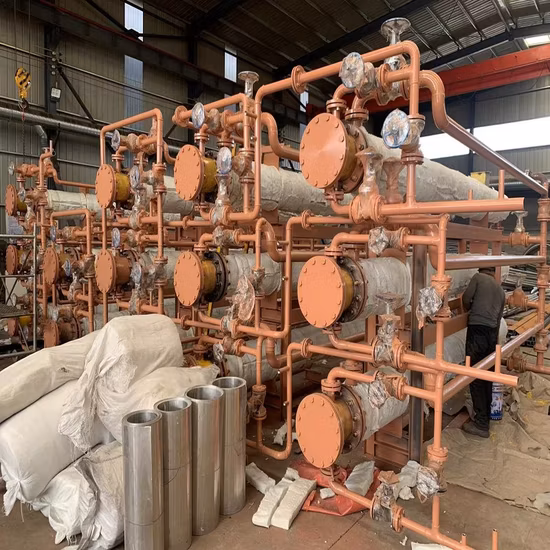 Stainless Steel (SS) 304 316/Titanium/Nickel/Hastelloy Skid Platform Unit U Tube Bundle Shell and Tube Heat Exchanger